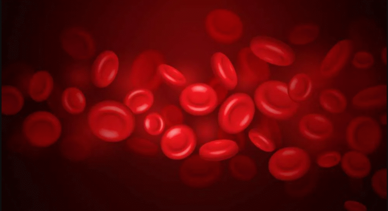 elevated white blood cell count icd 10