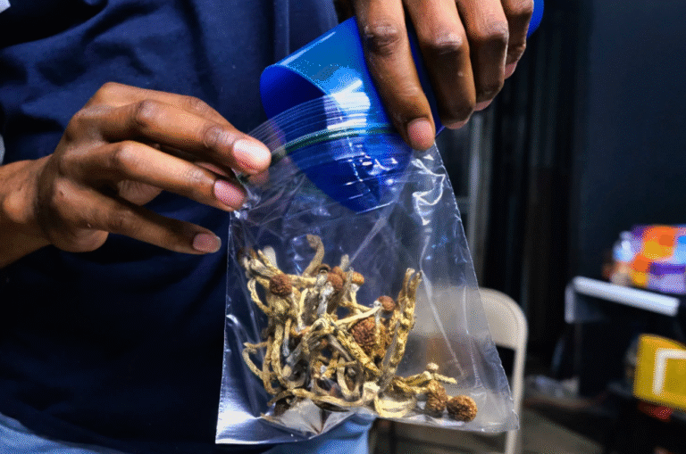 how long does shrooms stay in your system